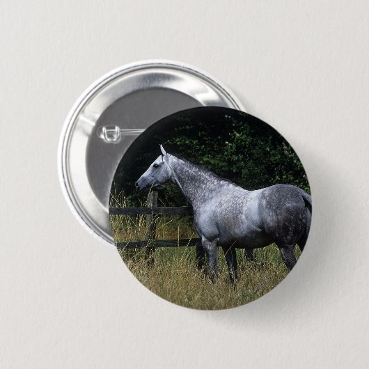 Thoroughbred-Pferdebereitstehender Zaun Button (Vorne & Hinten)