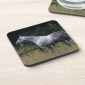 Thoroughbred-Pferdebereitstehender Zaun Getränkeuntersetzer (Linke Seite)