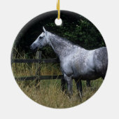 Thoroughbred-Pferdebereitstehender Zaun Keramik Ornament (Hinten)