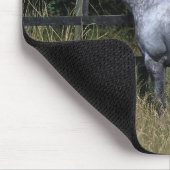 Thoroughbred-Pferdebereitstehender Zaun Mousepad (Ecke)