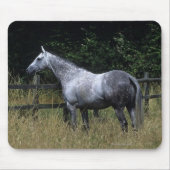 Thoroughbred-Pferdebereitstehender Zaun Mousepad (Vorne)