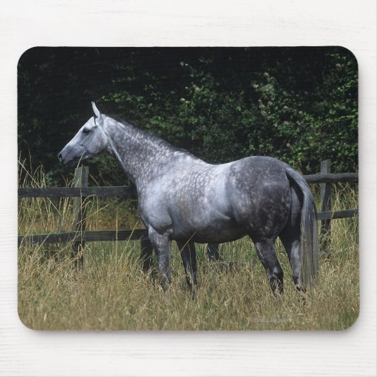 Thoroughbred-Pferdebereitstehender Zaun Mousepad (Vorne)