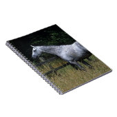 Thoroughbred-Pferdebereitstehender Zaun Notizblock (Rechte Seite)