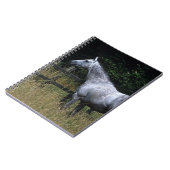 Thoroughbred-Pferdebereitstehender Zaun Notizblock (Linke Seite)