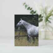 Thoroughbred-Pferdebereitstehender Zaun Postkarte (Stehend Vorderseite)