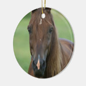 Thoroughbred-PferdeFoto-Verzierung Keramik Ornament (Links)