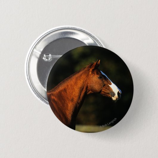 Thoroughbred-PferdeHeadshot Button (Vorne & Hinten)