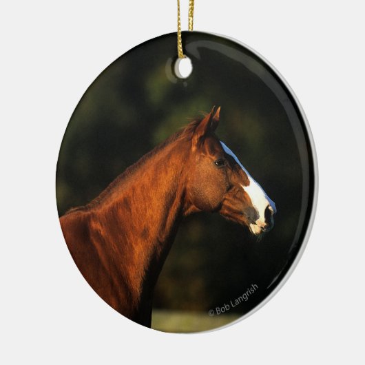 Thoroughbred-PferdeHeadshot Keramik Ornament (Links)