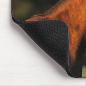 Thoroughbred-PferdeHeadshot Mousepad (Ecke)