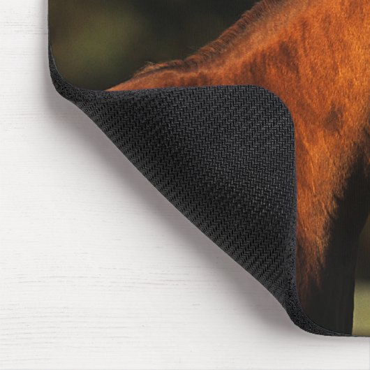 Thoroughbred-PferdeHeadshot Mousepad (Ecke)