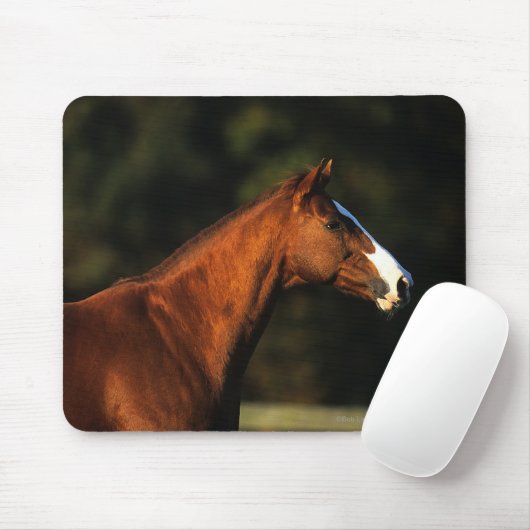 Thoroughbred-PferdeHeadshot Mousepad (Mit Mouse)