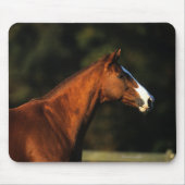 Thoroughbred-PferdeHeadshot Mousepad (Vorne)