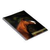 Thoroughbred-PferdeHeadshot Notizblock (Rechte Seite)