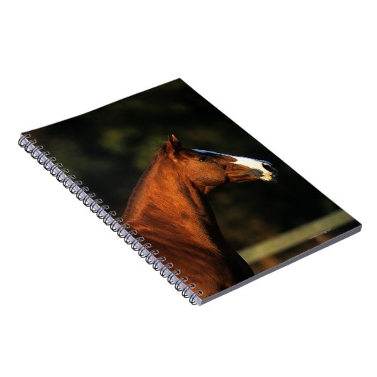 Thoroughbred-PferdeHeadshot Notizblock (Rechte Seite)
