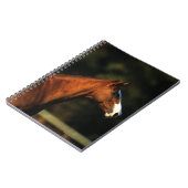 Thoroughbred-PferdeHeadshot Notizblock (Linke Seite)