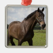Thoroughbred-Pferdeverzierung Silbernes Ornament (Vorne)