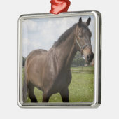 Thoroughbred-Pferdeverzierung Silbernes Ornament (Links)