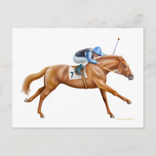 Thoroughbred Racehorse Postcard Postkarte