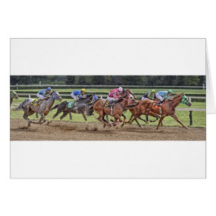 Thoroughbred-Rennprogramm