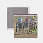 Thoroughbred Square Magnet (Vorderseite/Rückseite)