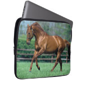 Thoroughbred Stallion, Irland Laptopschutzhülle (Vorne Rechts)