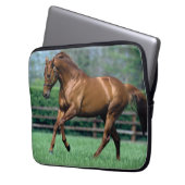 Thoroughbred Stallion, Irland Laptopschutzhülle (Vorderseite Links)