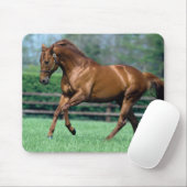 Thoroughbred Stallion, Irland Mousepad (Mit Mouse)