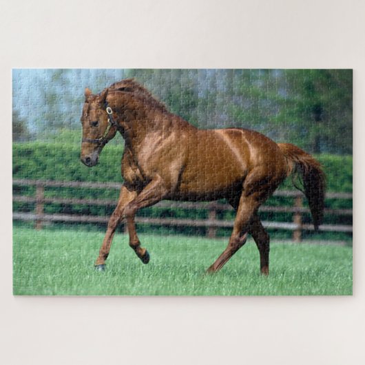 Thoroughbred Stallion, Irland Puzzle (Horizontal)