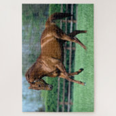 Thoroughbred Stallion, Irland Puzzle (Vertikal)
