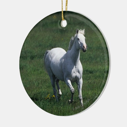 Thoroughbred-Stute Keramik Ornament (Links)