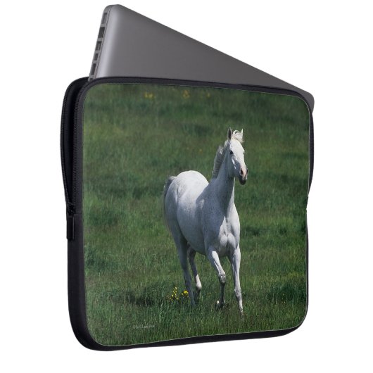 Thoroughbred-Stute Laptopschutzhülle (Vorne Rechts)