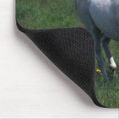 Thoroughbred-Stute Mousepad (Ecke)