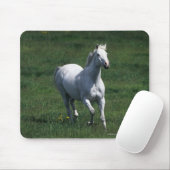 Thoroughbred-Stute Mousepad (Mit Mouse)