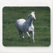 Thoroughbred-Stute Mousepad (Vorne)