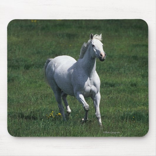 Thoroughbred-Stute Mousepad (Vorne)
