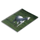 Thoroughbred-Stute Notizblock (Linke Seite)