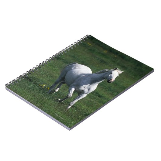 Thoroughbred-Stute Notizblock (Linke Seite)