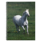 Thoroughbred-Stute Notizblock (Vorderseite)