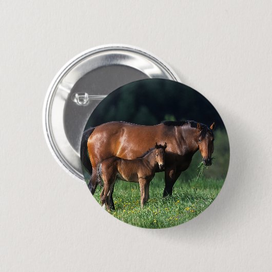 Thoroughbred-Stute u. Fohlen 1 Button (Vorne & Hinten)