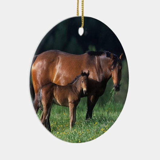 Thoroughbred-Stute u. Fohlen 1 Keramikornament (Rechts)