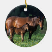 Thoroughbred-Stute u. Fohlen 1 Keramikornament (Vorne)
