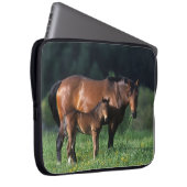 Thoroughbred-Stute u. Fohlen 1 Laptopschutzhülle (Vorne Rechts)