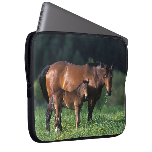 Thoroughbred-Stute u. Fohlen 1 Laptopschutzhülle (Vorne Rechts)