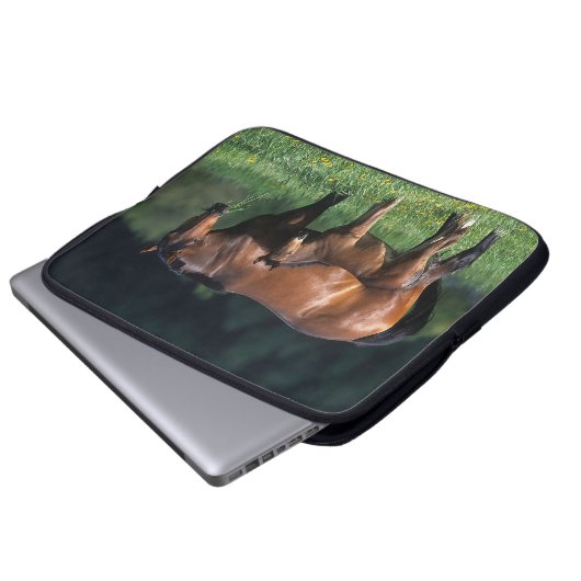 Thoroughbred-Stute u. Fohlen 1 Laptopschutzhülle (Vorne Knopf)