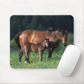 Thoroughbred-Stute u. Fohlen 1 Mousepad (Mit Mouse)