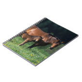 Thoroughbred-Stute u. Fohlen 1 Notizblock (Linke Seite)