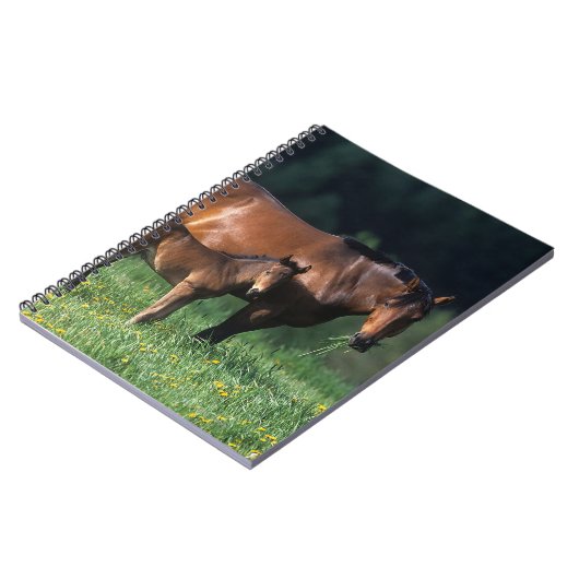 Thoroughbred-Stute u. Fohlen 1 Notizblock (Linke Seite)