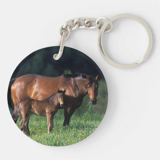Thoroughbred-Stute u. Fohlen 1 Schlüsselanhänger (Rückseite)