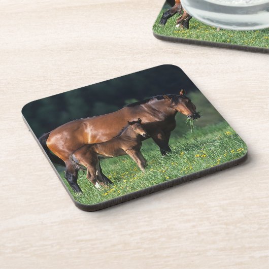 Thoroughbred-Stute u. Fohlen 1 Untersetzer (Linke Seite)