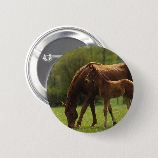 Thoroughbred-Stute u. Fohlen 2 Button (Vorne & Hinten)